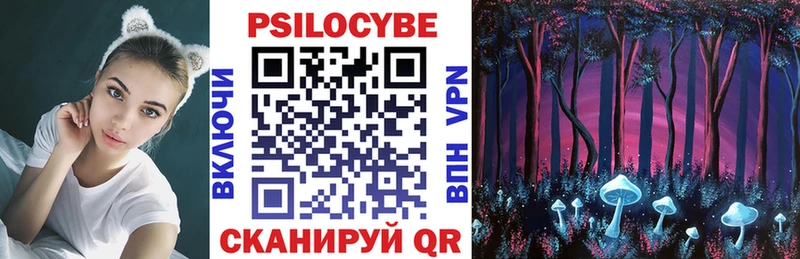 Галлюциногенные грибы MAGIC MUSHROOMS  Купить закладки  Светлоград 