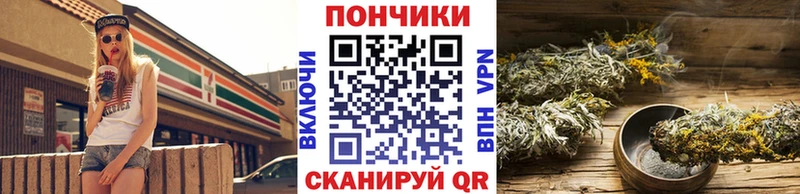 Конопля сатива  Купить  Светлоград 